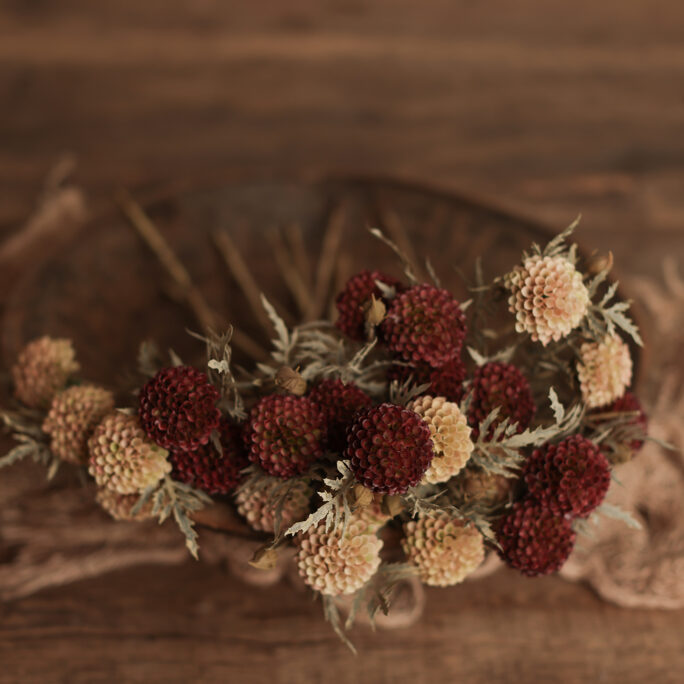 Berry Blooms