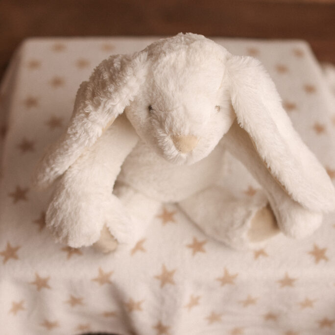 WHITE BUNNY with matching blanket