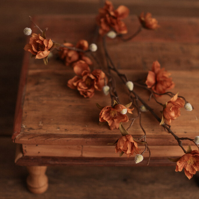 RUSTY MAGNOLIA Branch