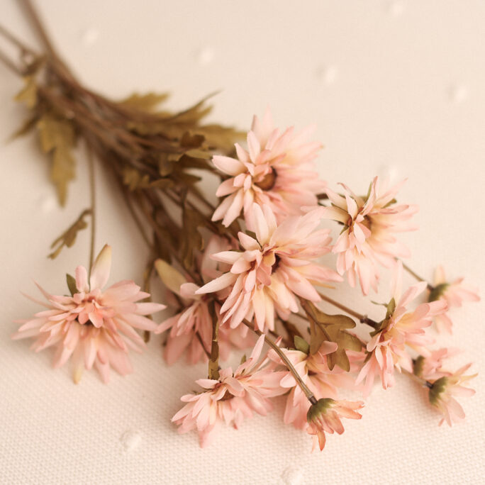 softest pink FLOWERS