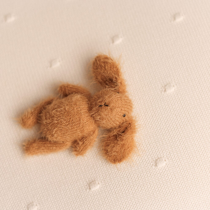 Little BUNNY - golden