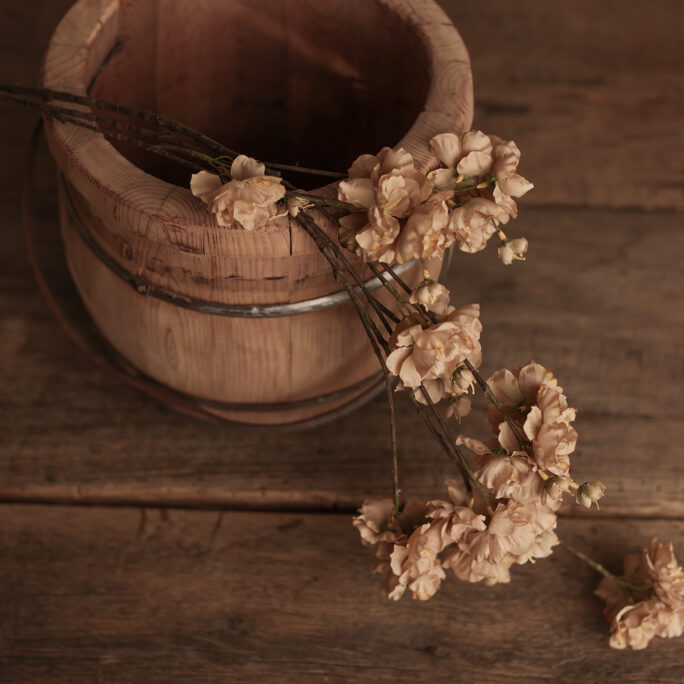 BEIGE BLOSSOM Branch