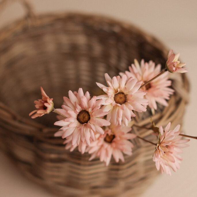 softest pink FLOWERS