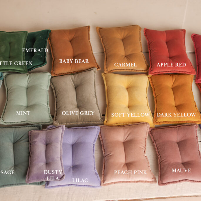 GOING OUT OF COLLECTION velvet pillow