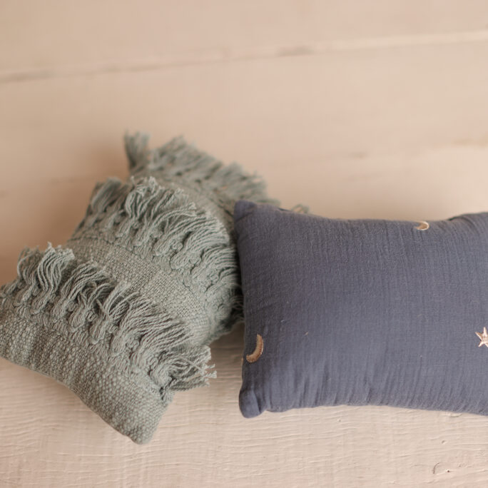 GOING OUT OF COLLECTION set of 2 blue pillows