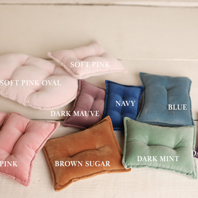 GOING OUT OF COLLECTION - velvet pillows