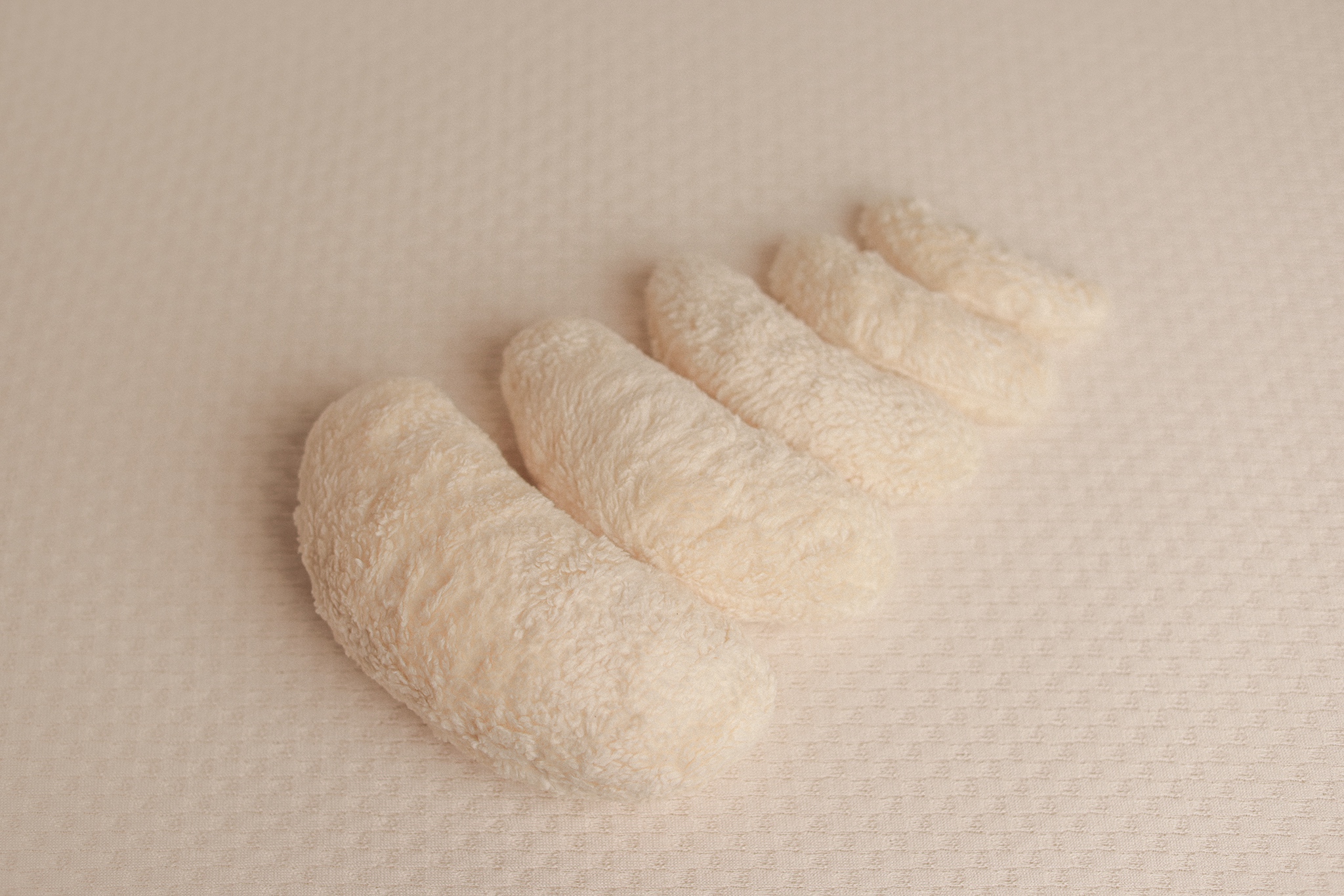 Teddy Posing Beans™ - Image 3