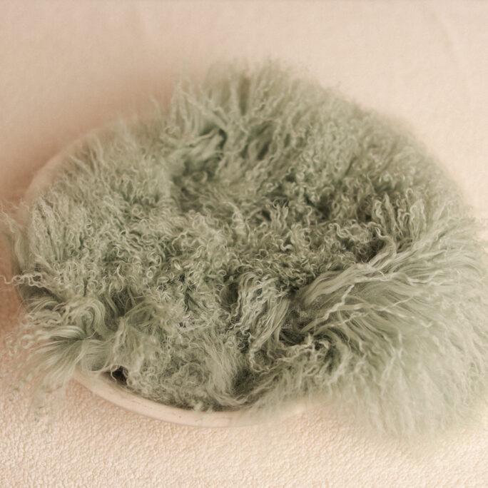 Medium curly fur - MINT