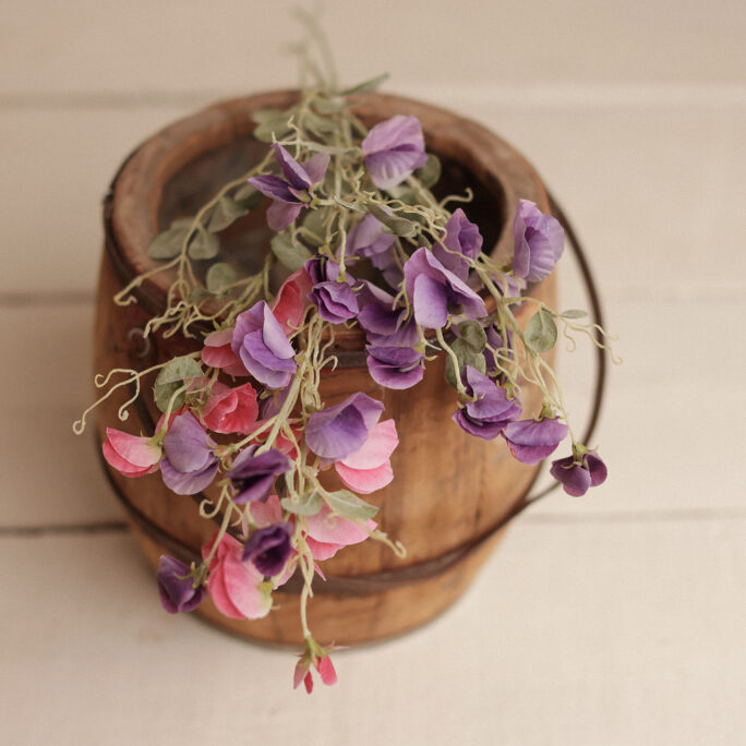 SWEET PEA