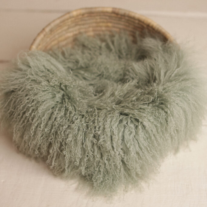 Medium curly fur - MINT