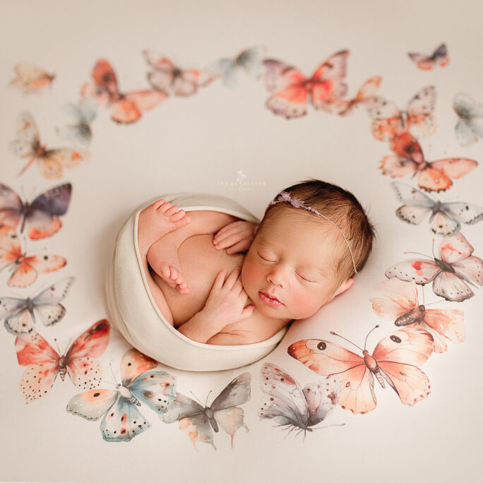 LAST ONE! Butterflies Backdrop