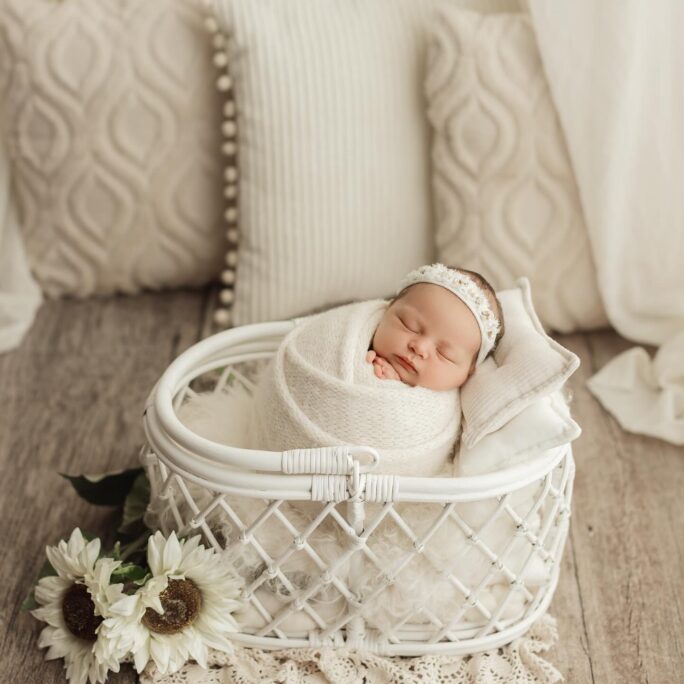 LAST ONE! Picnic Basket - WHITE