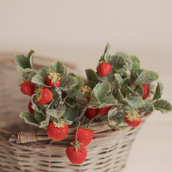 STRAWBERRY PLANT