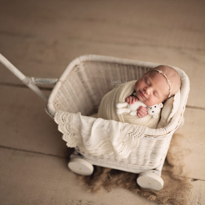 Baby Cart WALNUT ivory