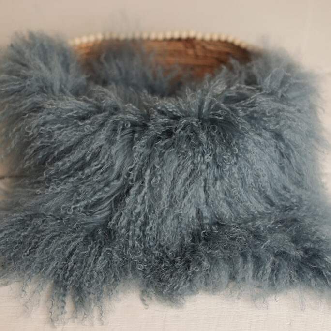 Medium curly fur - BLUE