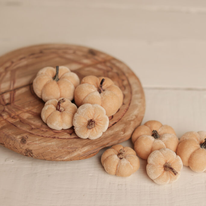 set of 4 cream pumpkins