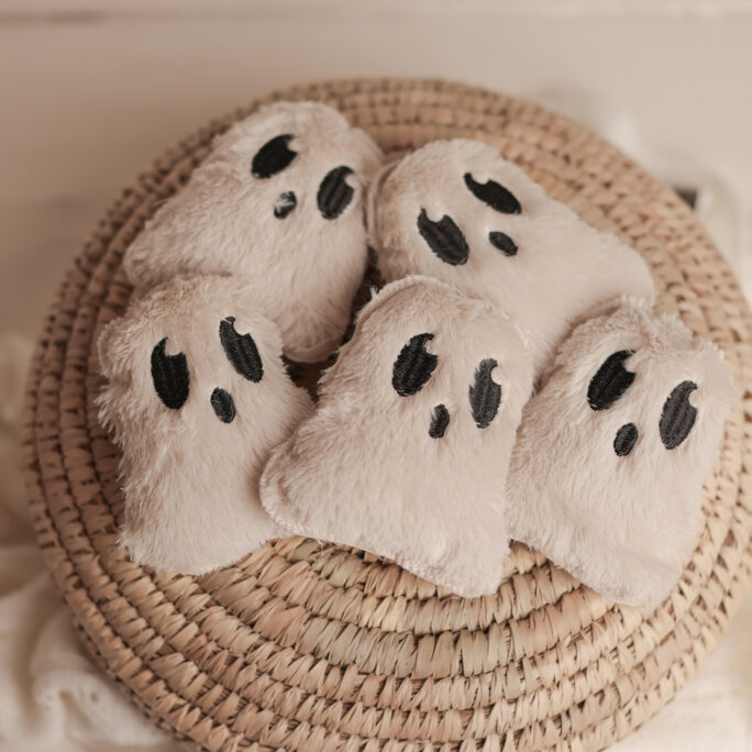 Little Boo Ghost