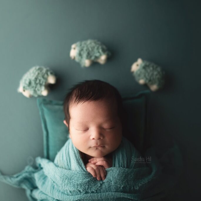 Backdrop and Wrap set TEAL BLUE