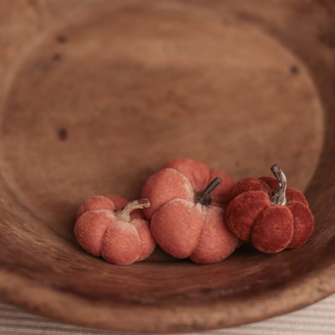 Set of 3 Autumn Pumpkins