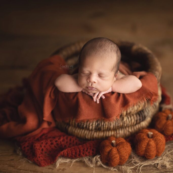 Cozy Cabin Layer | Backdrop AUTUMN