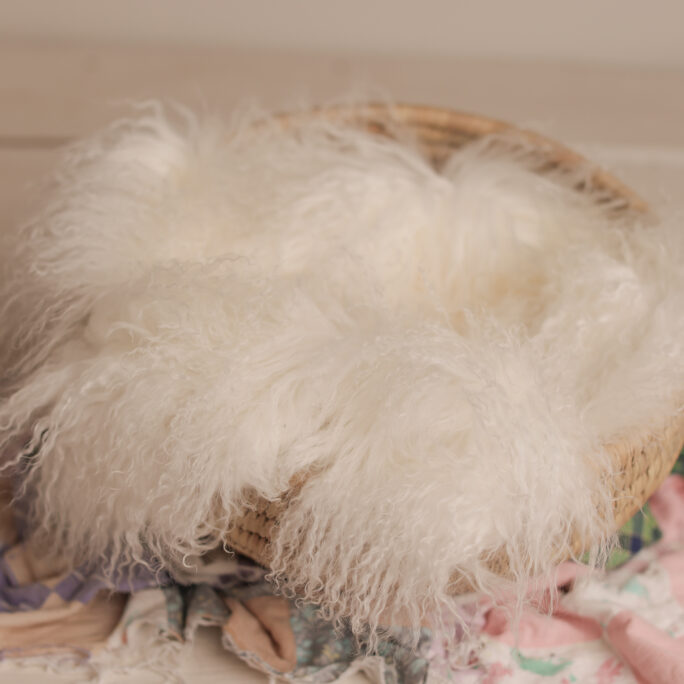 Medium curly fur - WHITE