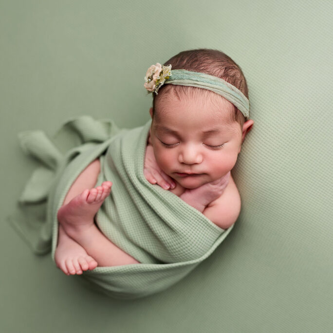 The Foundation Backdrops & Wraps Collection - SAGE MEADOW