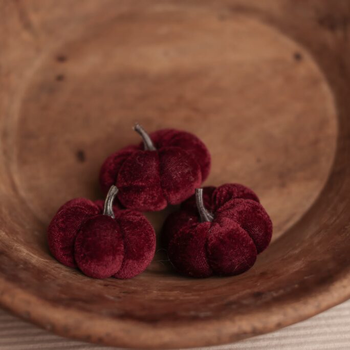Set of Burgundy Pumpkins