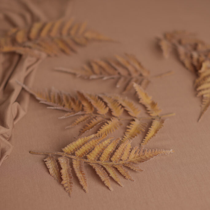 5 BEIGE FERNS