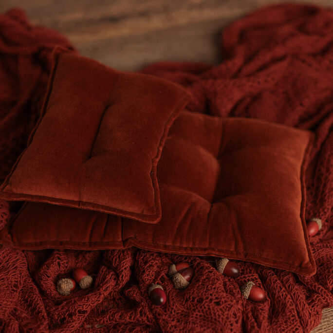 NEW! SOFT MATTRESS & Pillow - RUSTY