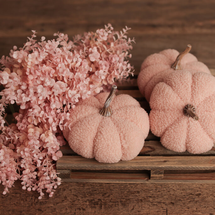 PINK teddy PUMPKIN