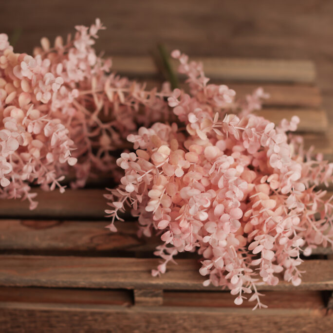 SOFT Pink eucalyptus