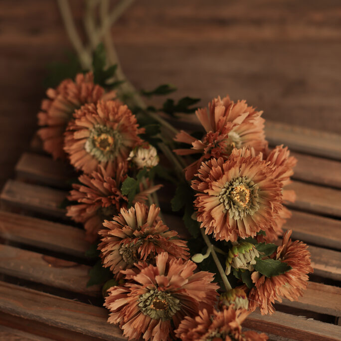 Vintage Sienna brown