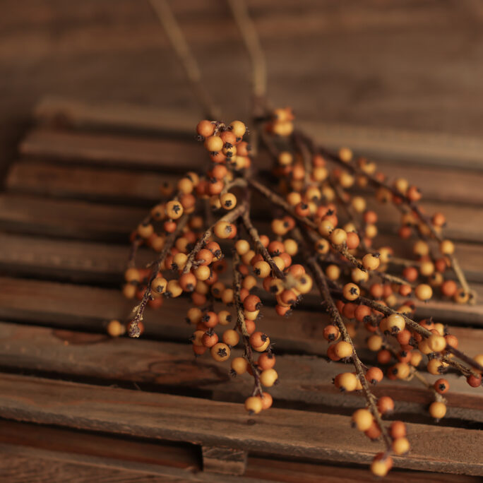 Autumn Berries