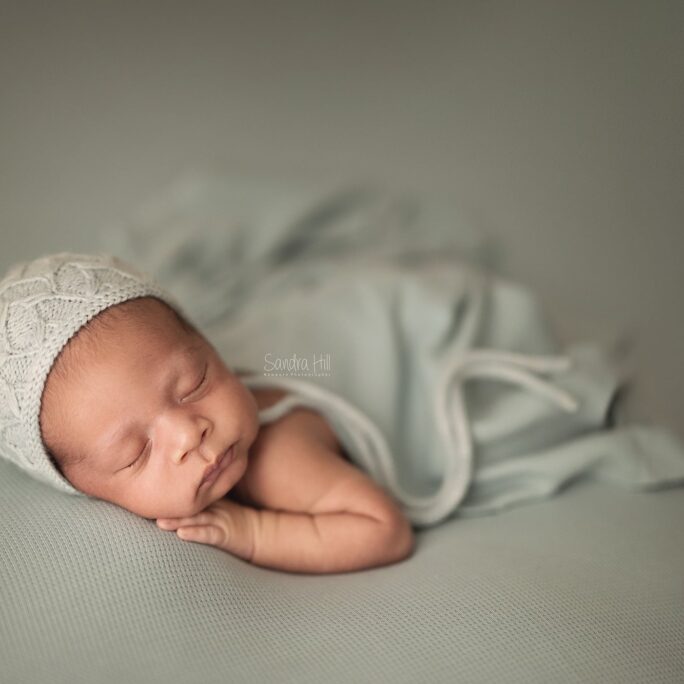 The Foundation Backdrops & Wraps Collection - BABY BLUE