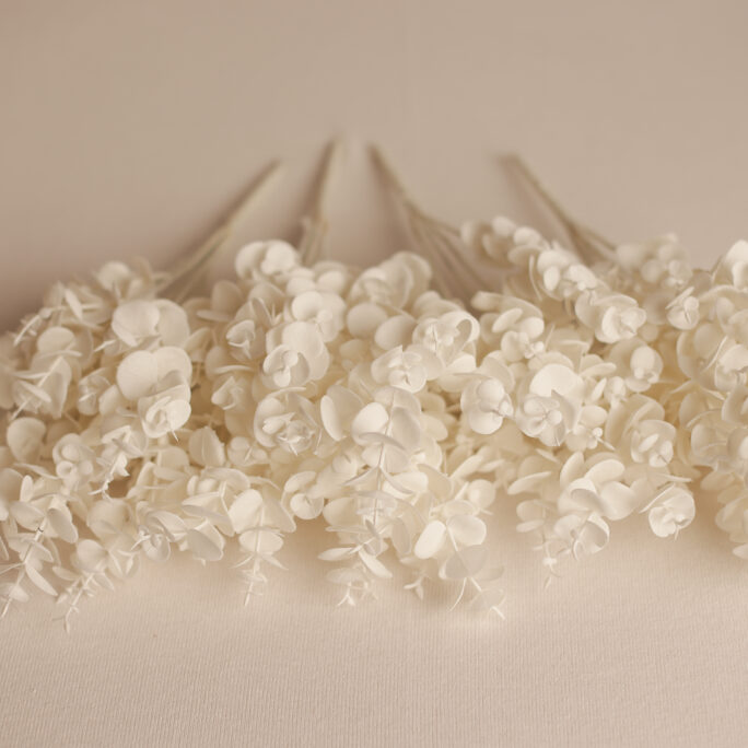 WHITE EUCALYPTUS
