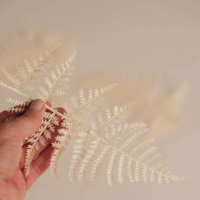 4 Frosted Ferns