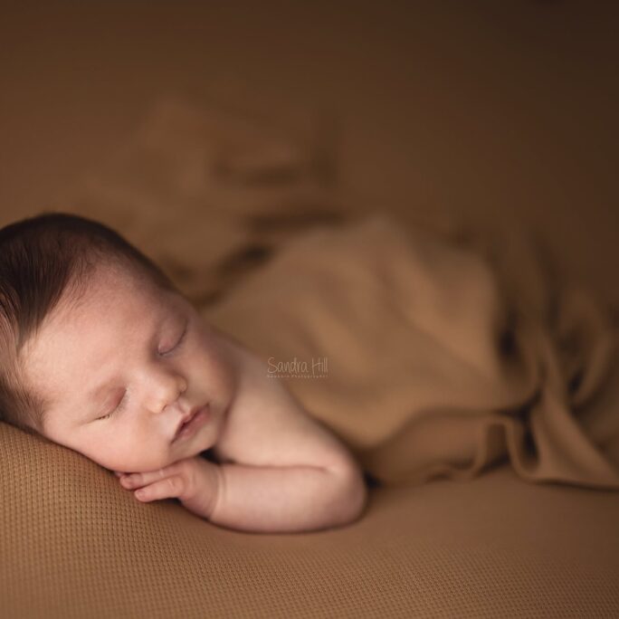 The Foundation Backdrops & Wraps Collection - CARMEL
